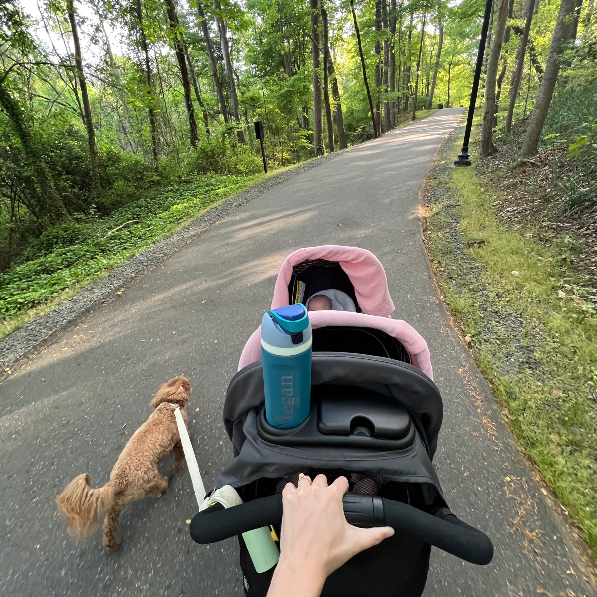 Self-Care Sunday #11