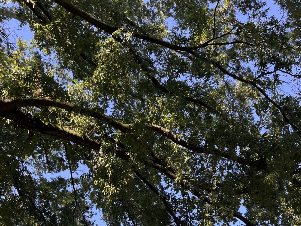 Sunday #29: Nor Height, Nor&nbsp;Depth