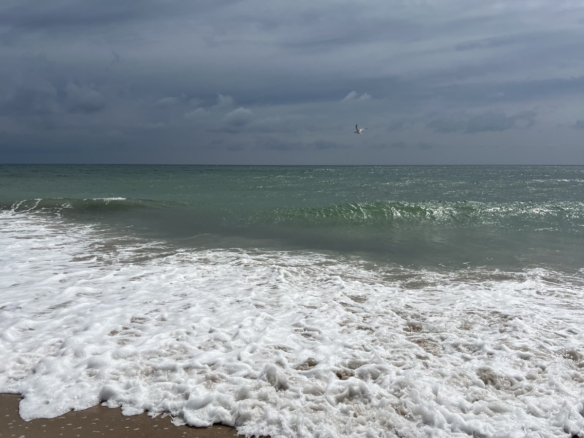 Sunday #33: Reunited with the&nbsp;Ocean